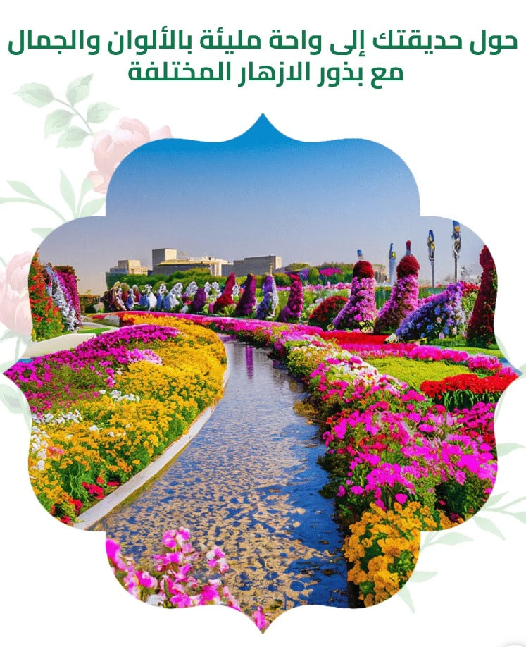 مجموعة 21 نوعًا مختلفًا من بذور الزهور البرية الأمريكية الناذرة