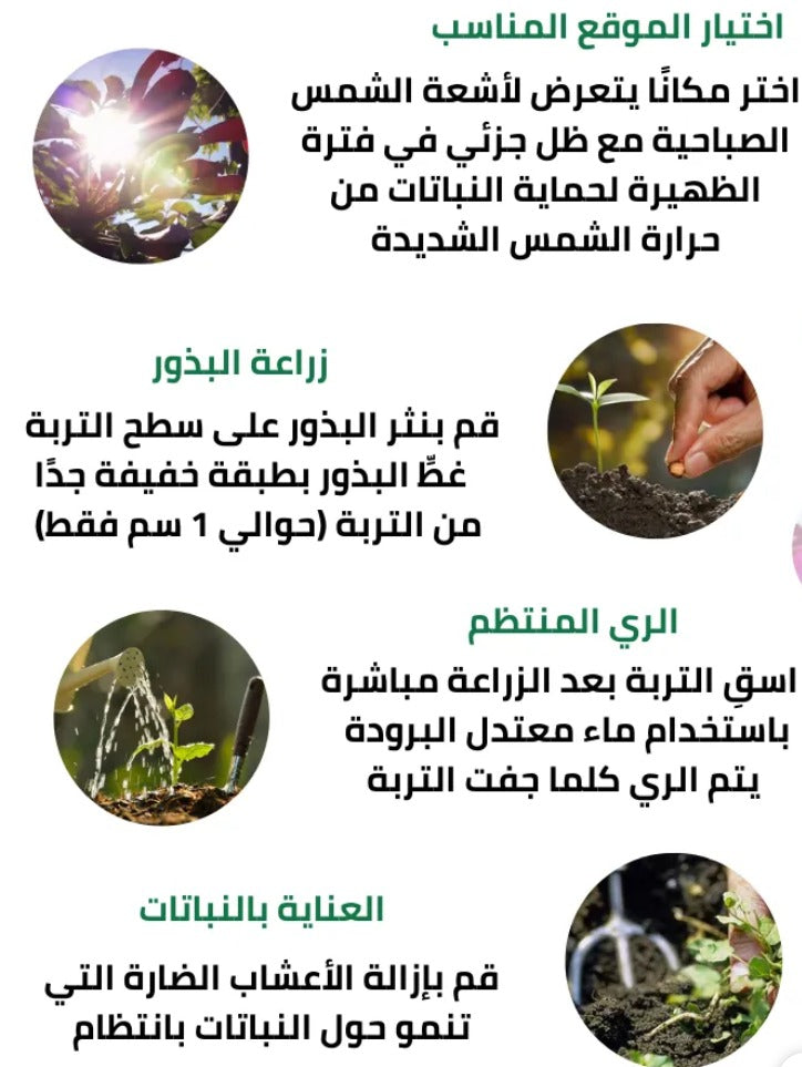 مجموعة 21 نوعًا مختلفًا من بذور الزهور البرية الأمريكية الناذرة