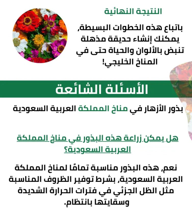 مجموعة 21 نوعًا مختلفًا من بذور الزهور البرية الأمريكية الناذرة