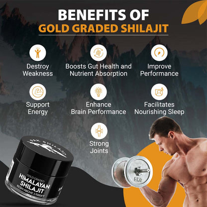 Himalayan Shilajit (Gold Graded Resin)
