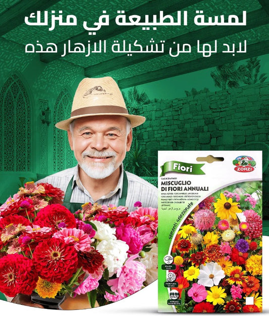 مجموعة 21 نوعًا مختلفًا من بذور الزهور البرية الأمريكية الناذرة